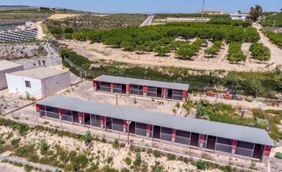 Herverkoop - Finca -
Los Montesinos