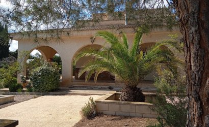 Reventa - Villa -
Yecla - Inland