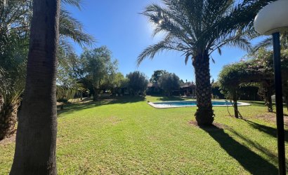 Herverkoop - Finca -
Dolores - Comunidad Valenciana