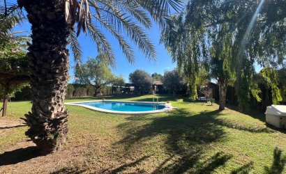 Herverkoop - Finca -
Dolores - Comunidad Valenciana