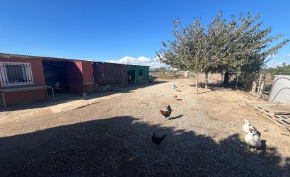 Herverkoop - Finca -
Dolores - Comunidad Valenciana