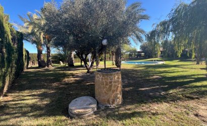 Herverkoop - Finca -
Dolores - Comunidad Valenciana