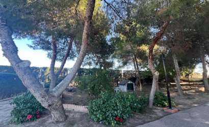 Herverkoop - Finca -
Dolores - Comunidad Valenciana