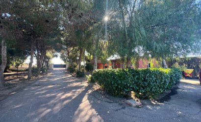 Herverkoop - Finca -
Dolores - Comunidad Valenciana
