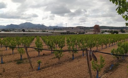 Herverkoop - Villa -
Monforte del Cid