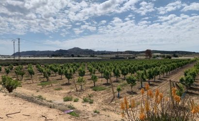 Herverkoop - Villa -
Monforte del Cid