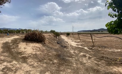 Herverkoop - Villa -
Monforte del Cid