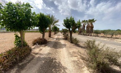 Herverkoop - Villa -
Monforte del Cid