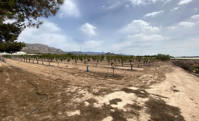 Herverkoop - Villa -
Monforte del Cid