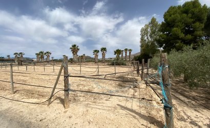 Herverkoop - Villa -
Monforte del Cid