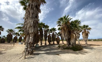 Herverkoop - Villa -
Monforte del Cid