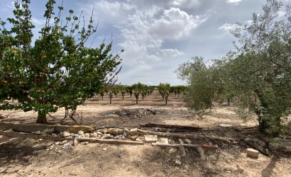 Herverkoop - Villa -
Monforte del Cid