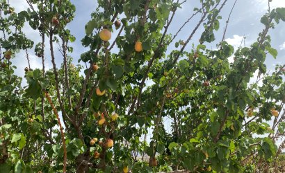 Herverkoop - Villa -
Monforte del Cid