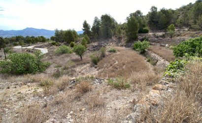 Resale - Country House -
Elda