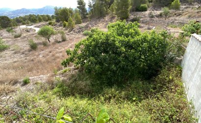 Resale - Country House -
Elda