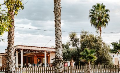 Reventa - Villa -
Catral