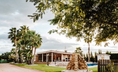 Reventa - Villa -
Catral