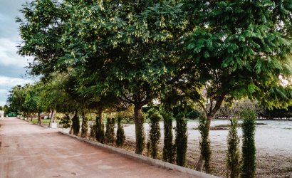 Reventa - Villa -
Catral