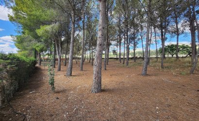 Resale - Villa -
Sax