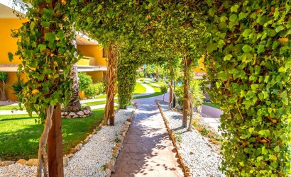 Herverkoop - Apartment -
Torrevieja - Costa Blanca