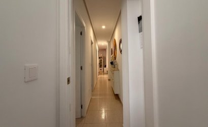 Revente - Apartment -
Torrevieja - Centro