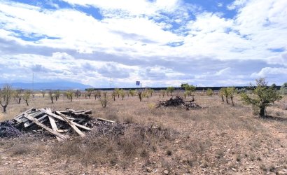 Resale - Country House -
Yecla - Inland