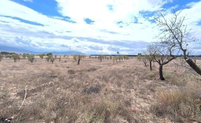 Resale - Country House -
Yecla - Inland