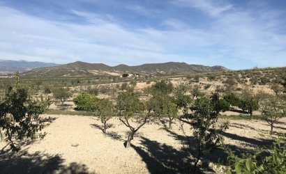 Reventa - Finca -
Lorca - Costa Calida