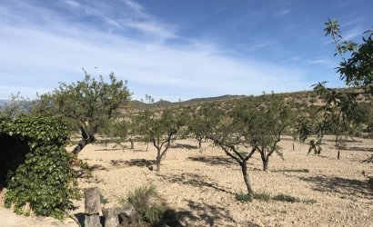 Reventa - Finca -
Lorca - Costa Calida