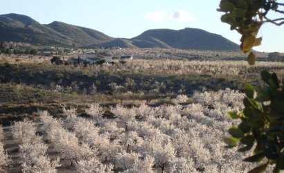 Reventa - Finca -
Lorca - Costa Calida