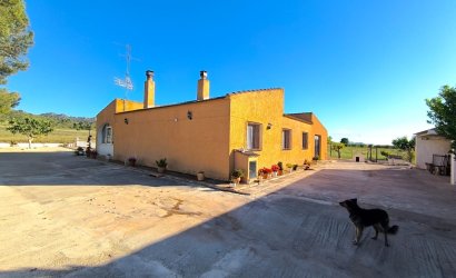 Reventa - Country House -
Yecla - Inland