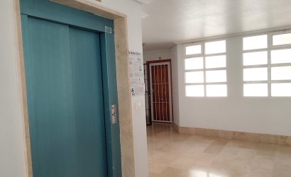 Reventa - Apartment -
La Zenia - Costa Blanca
