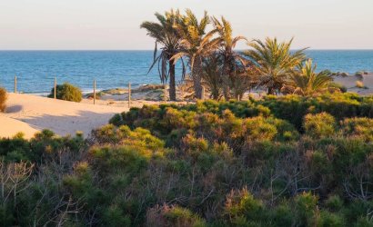 Reventa - Apartment -
Guardamar del Segura - Costa Blanca