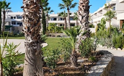 Herverkoop - Apartment -
Torrevieja - Costa Blanca