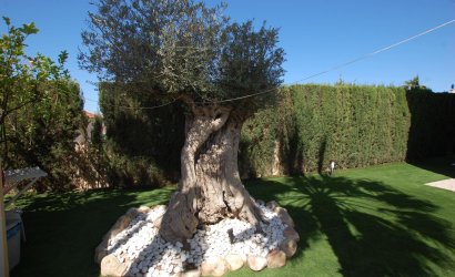 Revente - Villa -
Ciudad Quesada - Costa Blanca