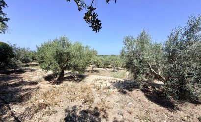 Herverkoop - Country House -
La Marina - Costa Blanca