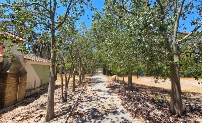 Reventa - Villa -
Elche - Costa Blanca