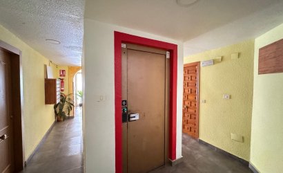 Herverkoop - Apartamento -
Torrevieja - Centro