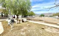 Herverkoop - Finca / Country Property -
Orihuela