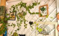 Revente - Apartment -
Torrevieja - Costa Blanca
