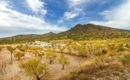 Revente - Villa -
Jumilla - Inland
