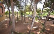 Resale - Villa -
Torrevieja - Los Balcones