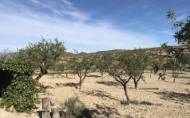 Reventa - Finca -
Lorca - Costa Calida