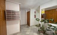 Herverkoop - Apartamento -
Torrevieja - Centro