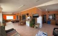 Reventa - Villa -
Guardamar del Segura - Costa Blanca