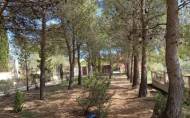 Reventa - Villa -
Yecla - Inland