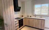 Nouvelle construction - Villa -
Pilar de la Horadada - pueblo