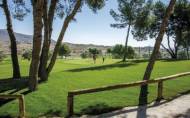 Nieuwbouw Woningen - Penthouse -
Monforte del Cid - Alenda Golf