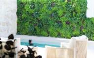 New Build - Bungalow -
Pilar de la Horadada - Torre De La Horadada