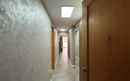 Herverkoop - Apartamento -
Torrevieja - Centro